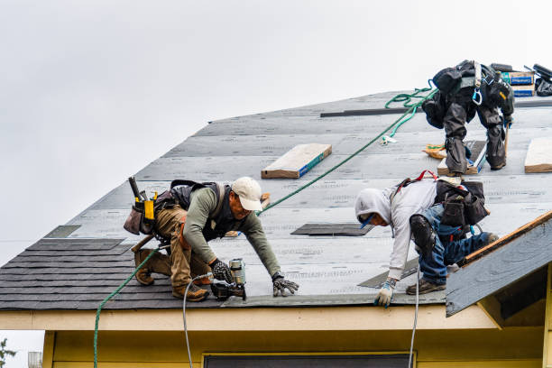 Professional Roofing technician working in Rebuck, PA